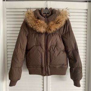 BCBG Maxazria Brown Puffer Coat